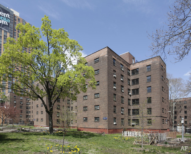 Whitman, Walt Houses 173 Myrtle Ave, Brooklyn, NY 11201