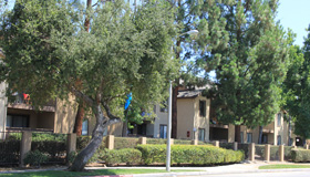 Sycamore Terrace Apartments for Seniors