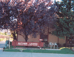 Vacaville Autumn Leaves for Seniors