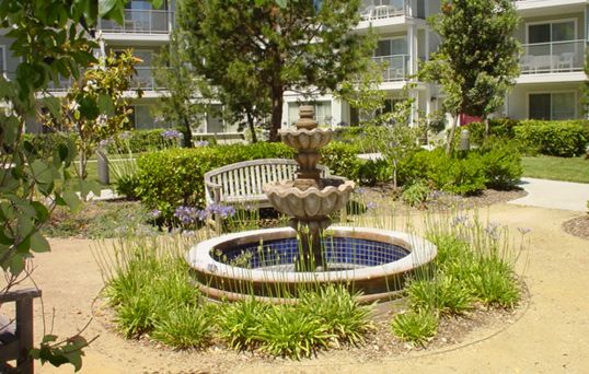 Redwood Shores