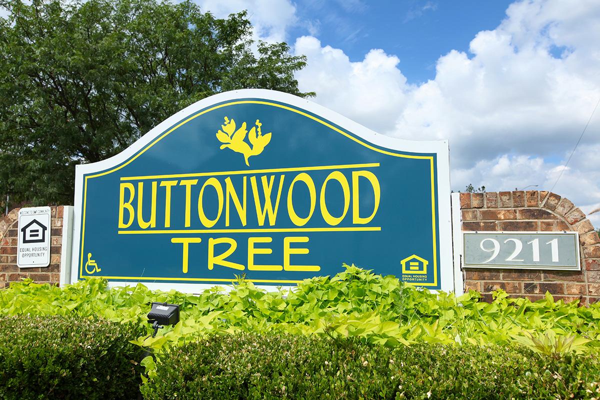 Buttonwood Tree Apartments