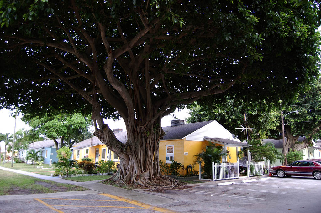Dunbar Village West Palm Beach