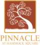 Pinnacle At Hammock Square Lynn Haven