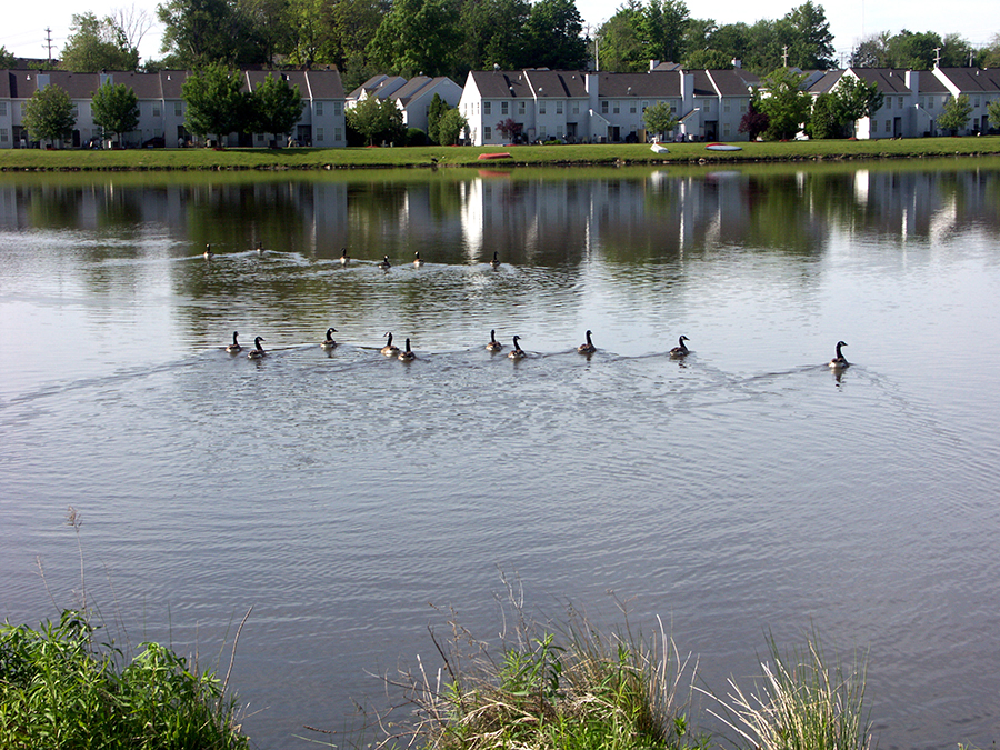 Senior Horizons At Silver Lake